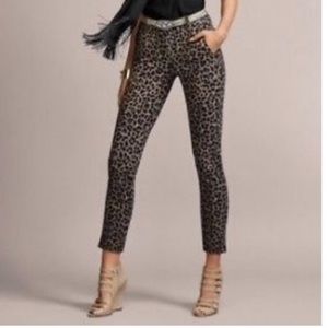Leopard Jungle trouser- Cabi